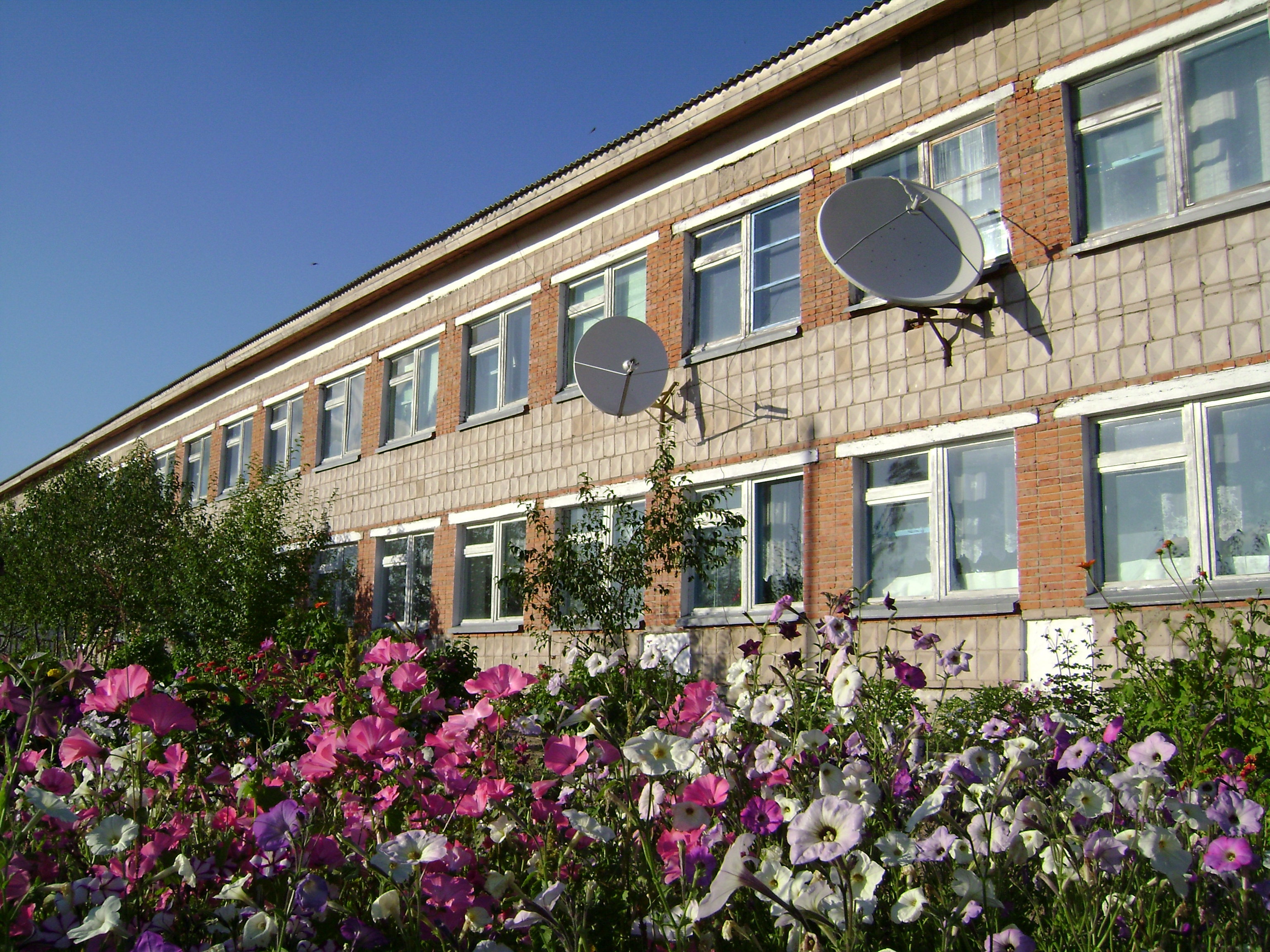 Фотография школы.